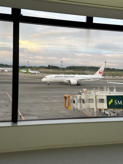 From an elevated perspective through a window frame, the scene depicts an airport tarmac in Narita, Japan. A Japan Airlines aircraft is parked at a gate, connected to a jet bridge. Other aircraft are visible in the distance. The sky is overcast with hints of sunlight.
