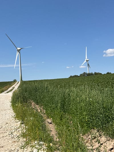 The image depicts an open field under a clear blue sky with scattered white clouds. Two wind turbines are visible in the distance, one on the left and another on the right. A dirt road or path, covered with light-colored gravel, winds its way up a gentle slope towards the left wind turbine. The field itself is covered with dense green vegetation, appearing to be crops or tall grass. The overall scene is pastoral and rural, with no visible signs of human presence beyond the wind turbines and the pathway. There is no information provided about the location in Kuriany, Ukraine.