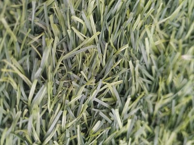 The image is a close-up, overhead view of artificial turf. The turf blades are a mix of light and dark green, with some blades appearing almost yellow or white, indicating wear or a different material composition. The blades are densely packed and appear to be made of plastic or a similar synthetic material. There are no people, animals, or identifiable objects in the image. The lighting is even, suggesting it was taken outdoors during the day, but no shadows are prominent. The scene depicts a section of artificial grass, likely on a sports field or recreational area. The image does not contain any visual information that would allow for the identification of its specific location within the city of Vyhoda, Ukraine.