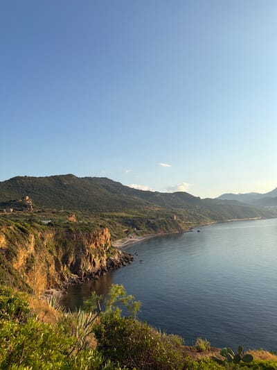 This is a vertical landscape photograph taken from a high vantage point overlooking a rugged coastline meeting a calm, deep blue sea. The sun is high in the sky, suggesting it is midday, and the weather appears clear with a few wispy clouds.
The scene depicts a dramatic coastal mountain covered in dense green vegetation, with rocky outcrops and terraced areas visible along its slopes. A road or pathway winds along the base of the mountain beside the sea. The sea itself is a deep blue, with subtle ripples indicating a gentle breeze.
In the foreground, on the right side of the image, a prickly pear cactus and lush green bushes add a touch of vibrant life to the rocky cliff face. A small tree with sparse foliage grows out of the cliff. In the distance, more mountains are visible, fading into a hazy blue under the bright sky. The overall impression is one of natural beauty and tranquility.
There is no visible text in the image. The location is identified as Cefalù, Italy, which is consistent with the Mediterranean coastal scenery. The image captures the essence of a sunny day in a picturesque coastal region.