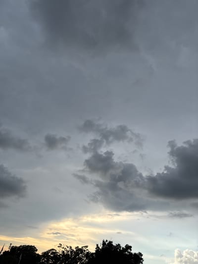 A wide shot captures a dramatic sky filled with dark, heavy clouds, suggesting an impending storm. The clouds are a mix of deep grays and lighter, wispy formations, with a sliver of yellow light peeking through near the horizon. Silhouetted against this turbulent sky are the dark, dense tops of trees, characteristic of natural landscapes or parks found within Bradenton, Florida. The overall impression is one of atmospheric intensity and the anticipation of rain.