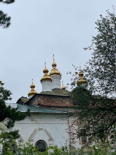 The image shows a view of the domes of a Russian Orthodox church, likely in the city of Kstinino, Russia. The domes are gilded and topped with crosses. The church appears to be made of brick and has white architectural elements. Lush green foliage from trees in the foreground partially obscures the view of the church, suggesting an outdoor setting. The sky is overcast and a pale grey.
