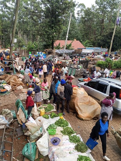 The image captures a crowded outdoor market scene located within Kisii Central ward, Kenya. Approximately 50-70 individuals, primarily adults, are observed navigating and conducting transactions across a market space characterized by reddish-brown dirt pathways and interspersed brick pavers. Merchandise, predominantly fresh produce such as large quantities of green leafy vegetables, bananas, and avocados, is displayed on ground-level tarpaulins, sacks, and simple wooden structures. Various other items, including plastic buckets and basins in multiple colors, are visible in the mid-background. A silver SUV, consistent with a station wagon, is parked in the center-right, partially obscured by large, light-brown sacks. Two tall wooden utility poles with power lines are prominent on the left and center-right. People are engaged in walking, selling, and purchasing, with one woman in the foreground wearing a blue top and black trousers, carrying a blue bag while walking towards the right. The background features dense green foliage from numerous tall trees, and several buildings with either red-tiled or corrugated metal roofs. The lighting suggests an overcast daylight condition.