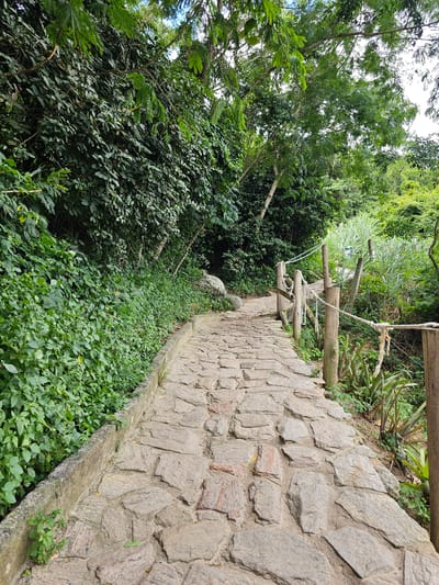 A stone-paved pathway, composed of irregular, light-colored flagstones, is depicted winding through a heavily vegetated area in Arraial do Cabo, Brazil. The path curves gently to the right as it recedes. On the left, a low concrete curb separates the path from a dense, green embankment covered with shrubs and climbing plants. On the right side, a rustic barrier is present, featuring six vertical, untreated wooden posts of varying heights. Light-colored ropes are loosely strung and draped between these posts, forming an informal railing. Beyond this barrier, diverse green vegetation, including tall grasses and broad-leaf plants, extends into the background. A dense tree canopy is visible against a bright sky at the top of the image. No individuals or animals are present, and no discernible actions or interactions are occurring within the scene.