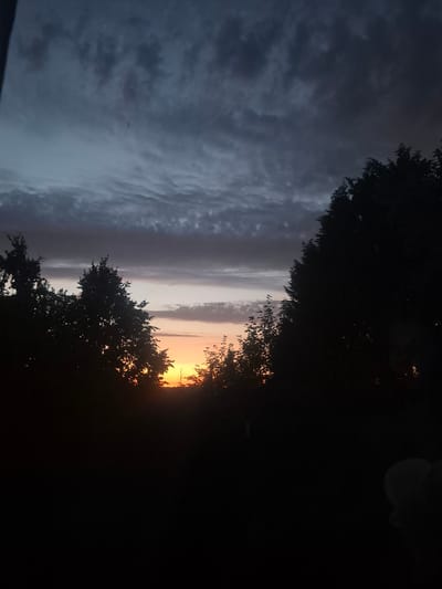 The image shows a silhouette of trees against a twilight sky. The sky is dark blue and gray with some lighter hues closer to the horizon. A band of orange and yellow light is visible just above the treeline, indicating sunset or sunrise. The trees are dark and dense, forming a jagged silhouette against the sky. The overall mood of the image is peaceful and serene. There are no people or objects visible in the image. The location is not specified in the image.