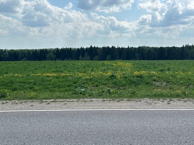 A horizontal landscape shot shows an asphalt road in the foreground with a white dividing line. Behind the road is a narrow, unpaved shoulder. Beyond the shoulder is a field of green grass interspersed with small yellow flowers. In the background, a dark green line of trees stretches across the horizon. Above the trees is a sky filled with puffy, white clouds. The image appears to be taken in a rural area near Малеевка, Russia, based on the typical vegetation of the area. No people or animals are visible in the scene.