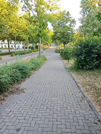 This media file depicts a sidewalk in Nordheim, Germany, lined with trees and bushes. The perspective is from the sidewalk looking down a gently sloping road. The time of day appears to be late afternoon or early evening, as indicated by the warm, golden light filtering through the leaves of the trees. The weather is likely clear and pleasant, with the sun casting long shadows.

The sidewalk is paved with grey interlocking bricks laid in a herringbone pattern. To the left of the sidewalk, a well-maintained hedge separates it from a road, on which a car is partially visible in the distance. Further to the left, a row of houses with white facades and red-tiled roofs can be seen. On the right side of the sidewalk, there is a strip of dry grass and more dense foliage.

Several street signs are visible: a blue circular sign with a white arrow pointing downwards and to the left, indicating a route or direction; a yellow diamond-shaped sign; and a blue square sign with a white "P" for parking. There are also red and white bollards along the edge of the road. A lamppost with a modern design stands further down the road. A drain grate is visible on the left edge of the sidewalk, near the bottom of the frame.

The scene evokes a sense of tranquility and everyday life in a suburban environment. There are no people visible in the frame, suggesting a moment of quiet before or after peak activity. The overall impression is one of order and natural beauty, with the greenery and sunlight creating a warm and inviting atmosphere.