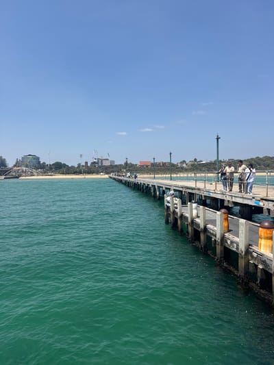 This image, taken in Frankston, Australia, captures a scenic view of a wooden pier extending over calm, turquoise-green water under a bright, cloudless blue sky. The camera is positioned parallel to the pier, looking towards the coastline.

The prominent subject is the long, wooden pier, constructed from sturdy timber beams and planks, with its supports descending into the clear water. Several people are visible on the pier, some in the foreground and others further along its length, appearing to be enjoying a leisurely walk or observing the surroundings. Their presence suggests a pleasant, sunny day suitable for outdoor activity. Below the pier, the water shows gentle ripples, reflecting the clear sky. Some marine growth or discoloration is visible on the submerged wooden piles.

In the background, a sandy beach stretches along the coast, bordered by a line of trees and urban development. Buildings of various sizes are visible nestled among the greenery along the shore. The distant coastline also features some structures that could be part of amusement rides or other recreational facilities, adding to the coastal town atmosphere. The time of day appears to be mid-day, given the strong, even illumination and the bright blue sky, indicating excellent weather conditions. The scene conveys a sense of peace and relaxation. There is no visible text in the image.