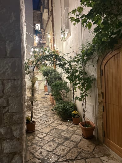 A narrow, cobblestone alleyway in Polignano a Mare, Italy, is illuminated by string lights and ambient building lights. On the left, a rough-hewn stone wall forms the edge of the alley. The alley curves slightly to the right, leading deeper into the town.
The right side of the alley is lined with a cream-colored building. A large, arched wooden door is prominent on this side, with visible hinges. Above the door, a grapevine with green leaves is growing up the wall. Small potted plants, including a pot with yellow flowers and a taller, thinner plant, are placed along the pathway.
Further into the alley, an arched metal structure is covered in greenery. More potted plants and dense foliage are visible behind this archway. The cobblestones appear damp, suggesting recent rain. In the distance, a window in an upper story of a building is lit. The overall impression is of a charming, dimly lit European street scene.