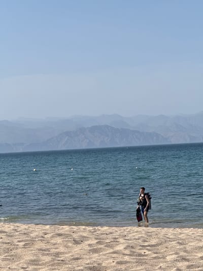 A person equipped for scuba diving stands in shallow water at the edge of a sandy beach. The individual, dressed in a dark wetsuit or rash guard and dark shorts, wears a buoyancy control device (BCD) with an air tank on their back. They are holding red and black diving fins in their left hand, while their right arm hangs by their side. The person is facing slightly towards the water, with their back partially to the viewer.
The setting is a tranquil coastal area. To the right, a light-colored sandy beach shows gentle undulations and footprints. The water, a clear blue-green, exhibits minor surface ripples. In the distant background, a range of hazy, blue-grey mountains stretches across the horizon, meeting a pale blue sky that suggests a bright, clear day. The sky gradually lightens towards the horizon. A few small, bright specks are visible on the water's surface. No visible text is present. The scene depicts a serene moment, possibly before or after a dive, in a mountainous coastal region like Al Fiqait, United Arab Emirates.