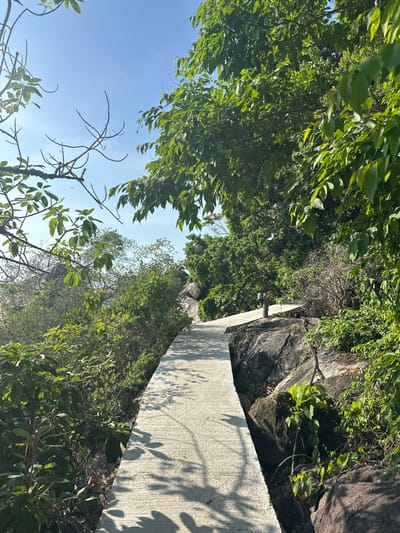 The scene depicts a concrete pathway situated within a verdant, rocky landscape under a clear blue sky in ตำบล เกาะเต่า, Thailand. The light-colored path curves uphill and left, exhibiting distinct shadows from surrounding foliage. Dense green tropical vegetation, including large-leafed trees and undergrowth, borders both sides of the pathway. Large grey rock formations are visible, particularly on the right, where the path appears to be integrated with the natural rock face. A single dark-colored pathway light fixture is observable on the right, affixed to a wooden post beside a rock. The upper left portion of the frame shows a clear, bright blue sky. No human subjects or discernible activity are present.