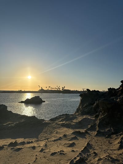 The image depicts a beach scene in Newport Beach, California, USA. The sun is low on the horizon, emitting bright rays across the sky and reflecting on the water. The coastline is lined with palm trees. A rocky outcrop, possibly a small island or peninsula, is visible in the water, reflecting the sunlight. The foreground shows a rocky cliff with sandy texture. The sky is a gradient of blue to yellow, indicating either sunrise or sunset.