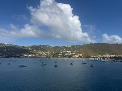 A scenic view features a harbor filled with various boats and yachts under a partly cloudy sky. Lush, green hills dotted with buildings form the backdrop. The water is calm with gentle ripples, reflecting the sky's blue hue. The scene conveys a sense of tranquility and leisure in a coastal setting.