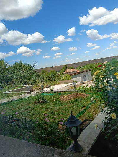 The image depicts a rural outdoor scene, likely in or near the city of Suhache, Bulgaria. In the foreground, a concrete ledge transitions to a garden area with green grass, small pink flowers, and a decorative black metal fence. A black outdoor lantern with a glass enclosure and visible bulb stands on a stone border. To the right, a bush with yellow roses and one red rose is prominent.
Further back, there are several concrete pathways and steps, some with lampposts. A small grey building with a sliding glass door is visible, as well as a building with a terracotta-tiled roof. Trees, including a large leafy one with what appear to be red fruits, are scattered throughout the landscape. Beyond the immediate garden and buildings, a gently sloping field with cultivated crops stretches towards the horizon. The sky above is a bright blue, dotted with numerous fluffy white cumulus clouds. The overall impression is one of a serene, sunlit day in a rural setting.