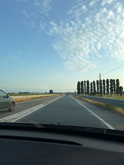 The image depicts a view from inside a vehicle traveling on a two-lane road in a rural area, likely on the outskirts of Novara, Italy. The road stretches into the distance, bordered by a guardrail on the right and fields on the left. A line of tall, slender trees, possibly cypress, is planted along the right side of the road, creating a distinct visual feature. The sky above is a clear blue with scattered white, wispy clouds. In the distance, a few buildings and transmission towers can be observed, suggesting the presence of some infrastructure. A dark-colored car is visible on the left lane, moving in the same direction as the viewer. The foreground shows the interior of the vehicle's dashboard.