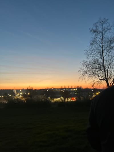 A landscape photo shows a dusky scene with a colorful sky. The upper left is a pale blue, blending into a gradient of orange and yellow. A bare tree branch stretches across the top left. Along the bottom, the silhouette of buildings and sparse lights peek through the darkness. Green grass is in the foreground. The image appears to be rotated or taken vertically.