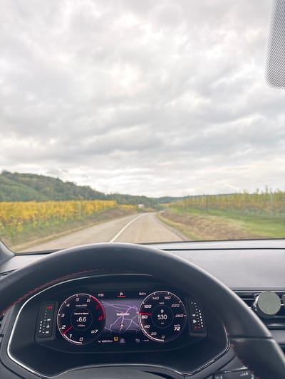 The image depicts a view from the driver's seat of a stationary vehicle on a rural road in the vicinity of Blienschwiller, France. The digital instrument cluster shows the time as 17:55 and an outside temperature of 15.0°C. The navigation system displays "Nothalten" as a point of interest, and the speedometer reads 0 km/h, with an odometer reading of 4263.5 km and 530 km of remaining range. A tire pressure warning light is illuminated. The black steering wheel has visible red stitching. A circular grey object is mounted on the right side of the dashboard.
Outside the vehicle, a two-lane asphalt road curves gently to the right, bordered on both sides by extensive vineyards showcasing yellow and golden autumn foliage. A densely wooded hillside is visible behind the vineyards on the left. The sky is uniformly overcast with grey clouds. No individuals are present in the visible scene.