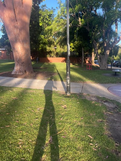 This image depicts a public green space in Applecross, Australia, under direct sunlight, casting long shadows. The foreground shows a concrete pathway bordered by a grassy area littered with reddish-brown debris. A prominent shadow of a person, likely the photographer, extends from the lower center of the frame, across the pathway, and onto the grass. A dark grey street light pole, exhibiting wear and white markings, stands vertically at the center-right, casting a long shadow to the left.
In the midground, a large tree with a light brown, peeling trunk is situated on the left, its base surrounded by a patch of darker soil. To the right of this tree, a young child wearing a blue shirt and dark pants is visible walking on the grass. Behind the child, a low brick wall separates the green area from a residential property, a portion of which, featuring red brick architecture, is visible on the far left. Various green trees and dense foliage form a natural barrier behind the wall and extend across the midground. A small, red, three-legged object, possibly an outdoor fixture, is positioned on the grass in the mid-right. Further right, a dark park bench is partially visible next to a paved area with a circular design, and several parked vehicles are discernible in the distance. The background is dominated by a bright blue sky with minimal cloud cover.