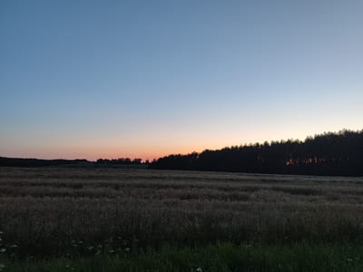 An eye-level, wide shot captures a rural landscape at dusk in Гарадзішчанскі сельскі Савет, Belarus. The sky transitions from a pale blue at the top to a soft orange and pink gradient near the horizon. A dense line of dark trees forms a silhouette against the fading light, marking the edge of a large, harvested field. The field itself appears to be covered in stubble or dried vegetation, with rows indicating where crops were recently cut. In the foreground, the edge of a grassy area with some small white flowers is visible. The overall scene is tranquil and evokes the end of a summer day.