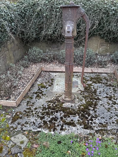 This image depicts an outdoor scene in Shelve, United Kingdom, centered on a heavily rusted, dark brown cast-iron hand water pump. The pump stands on a moss-covered concrete slab, which contains a square metal grate at its base. A prominent vertical crack runs down the front of the pump's column. The pump's handle extends downwards on the right side.
To the left and immediately behind the pump is a raised garden bed outlined by a light-colored wooden border. This bed contains dry, dark earth with scattered leaves and sparse, low-lying green/grayish-green vegetation. Behind this bed and the pump, a weathered stone wall is almost entirely covered by dense, dark green ivy.
In the immediate foreground, below the concrete slab, is an area of vibrant light green ground cover interspersed with several small purple flowers. To the far left foreground, irregular stone fragments and additional moss are visible. The scene is static, with no people, animals, or active interactions present.