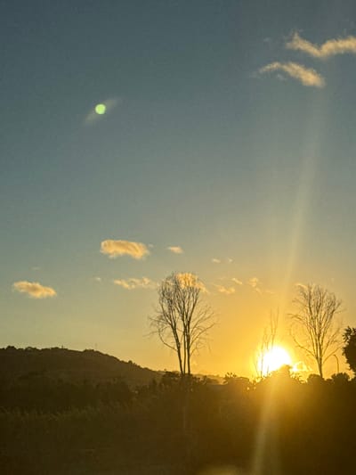 An outdoor landscape photograph captured in Cupra Marittima, Italy, depicts a sunset or sunrise scene. The sky, occupying the upper two-thirds of the frame, transitions from a muted blue-gray at the top to a vibrant golden-orange near the horizon. Several small, wispy white clouds are scattered across the mid-upper sky. A prominent, bright green, circular light artifact with a visible grid pattern is present in the upper-left quadrant of the sky. The sun, partially obscured by the horizon and trees on the right, emits an intense golden-white light, creating a strong vertical lens flare extending downwards from the light source.

The lower third of the image features a dark silhouette of rolling hills and dense vegetation. On the crest of the leftmost hill, a small, dark, columnar structure, possibly a monument or tower, is visible. In the midground, three prominent deciduous trees, currently bare of leaves, stand against the bright sky, their intricate branch patterns forming dark silhouettes. The leftmost and rightmost trees exhibit rounded crown shapes. Denser, darker vegetation fills the immediate foreground, obscuring the ground plane and lower portions of the distant hills. No individuals or overt actions are depicted.