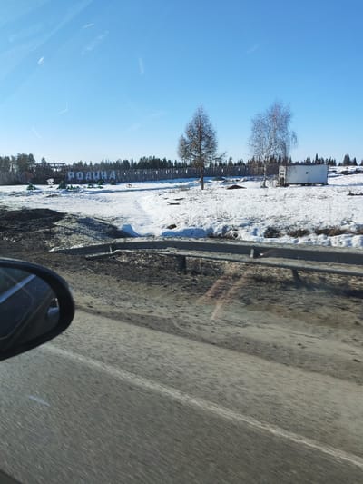 The image depicts a rural or semi-rural winter landscape near Bolgury, Russia, captured from a vehicle under a clear blue sky. In the foreground, the upper portion of a vehicle's left side mirror is visible, alongside a dirt-streaked asphalt road and a metal guardrail paralleling the road. Beyond the guardrail, the immediate ground is a mix of dirty snow and dark, exposed earth.

The midground features uneven terrain partially covered in snow, with bare patches of dirt. Two prominent leafless trees stand: a conifer with brown branches on the left and a white-barked deciduous tree, likely a birch, on the right. A white, rectangular container or mobile unit is situated on the snow-covered ground to the right of the birch tree. A small, light-colored animal, possibly a dog, is visible walking on a snow path in the central midground. Several small, green, cone-shaped objects, resembling artificial trees, are scattered in the snow closer to the background.

The background is dominated by a long, rustic fence constructed from vertical wooden poles. Behind this fence, a large sign displaying the Cyrillic word "РОДИНА" (RODINA, meaning "Homeland" or "Motherland") in white letters is mounted on a dark structure. A dense line of coniferous forest forms the distant horizon behind the fence and sign. No human figures are present in the scene.