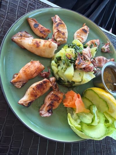 A green plate containing grilled calamari, a potato and vegetable salad, a lemon wedge, and a small metal container with liquid, is situated on a faux alligator skin-patterned surface. A person dressed in black is partially visible in the upper left. The location is presumed to be Krašići, Montenegro.