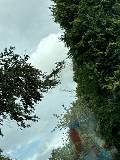 A tree-lined road is visible, with dense green foliage on the right side of the image and a tree with dark leaves on the left. The sky is overcast with some white clouds. A faint rainbow-like streak is present in the lower right portion of the image, suggesting it may have been taken through glass with light reflecting on it.