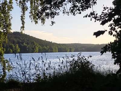 The image shows a serene natural landscape at dawn or dusk, with a lake in the foreground and a forested hill in the background. The sky is a pale, soft blue with a hint of warmth from the setting or rising sun. In the foreground, the silhouette of tall grasses and leafy branches frames the view of the lake, creating a sense of depth and enclosure. The lake's surface is rippled, reflecting the muted light. The forested hill, densely covered with green trees, forms a dark and undulating line against the horizon. The overall atmosphere is tranquil and peaceful, evoking a sense of quiet natural beauty. This scene is likely located in a natural area near Norrköping, Sweden, possibly a nature reserve or park with a body of water and surrounding woodlands, characteristic of the Swedish countryside.