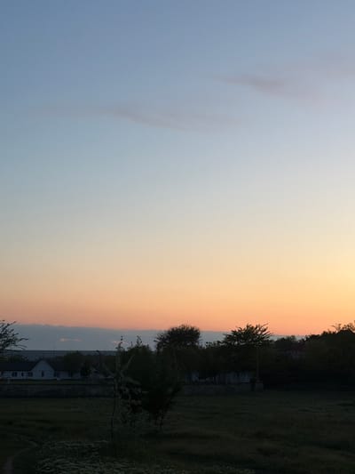The image presents a landscape at dusk. The sky transitions from blue to orange, indicating a sunset. The silhouette of trees and foliage borders the right side of the image. Towards the bottom right, what appears to be a building can be discerned. Due to the lighting, the exact location is ambiguous, but the general environment implies a rural or suburban area, which might be located in Taraclia, Moldova.