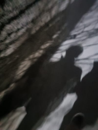 The image shows a grainy, shadowed scene. Silhouettes of two figures are visible, one seemingly taller than the other. The background features an indistinct, textured surface that suggests tree bark or a similar rough material. Light and dark interplay, obscuring details and creating an abstract feel. The composition focuses on the shapes formed by the shadows, rather than clear, defined objects.