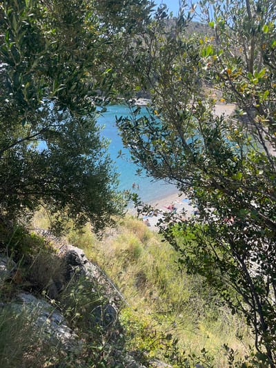 The image captures a view through olive tree branches of a small, crescent-shaped beach in Colera, Spain. The beach is composed of sand and pebbles, with clear, turquoise water lapping at the shore. Several people are visible on the beach, some sunbathing on towels and others wading in the shallow water. Beyond the beach, a hillside covered in greenery rises up, with a few buildings nestled on its slopes. The sun is shining brightly, casting dappled shadows through the leaves.