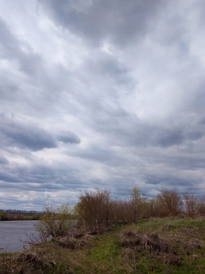 The image depicts a landscape in or near the city of Дерезовка, Russia. An expanse of water, possibly a river or lake, is visible on the left side of the image. The near shoreline consists of a bank covered with brown, dry vegetation mixed with patches of green grass, suggesting early spring or late autumn. Several bushes and small trees are scattered along the bank, appearing mostly bare except for a few with emerging green buds.

The sky is overcast with heavy, gray clouds filling most of the frame. In the distance across the water is a faint tree line. No people or animals are visible in the image. The overall scene suggests a rural or natural environment, potentially a park or undeveloped area near Дерезовка.