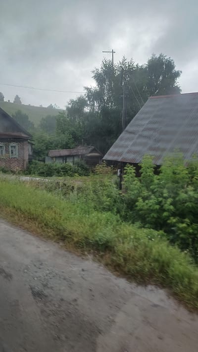 This is an image of a rural village scene in Buranovo, Russia, under an overcast sky. In the foreground, a dirt road with patches of gravel runs diagonally across the frame. To the left of the road, dense green grass and weeds grow. Behind the grass, on the left side of the image, stands a two-story wooden house with a dark, weathered roof and a light-colored facade adorned with decorative trim around the windows. Further back, nestled among lush greenery, are several small, older outbuildings with corrugated metal roofs.
To the right of the outbuildings, a larger building with a prominent, steeply pitched corrugated metal roof dominates the mid-ground. The side of this building is made of dark wood. In front of this building, on the right side of the frame, is a cluster of dense green bushes. Behind the buildings, a dense line of various trees forms a backdrop, with a pole and a cross-like structure visible against the sky in the upper right quadrant. The overall impression is one of a slightly overgrown, weathered rural settlement.