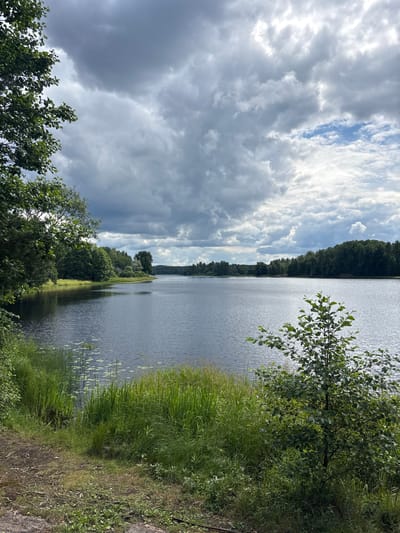 A wide shot captures a tranquil lake scene under a cloudy sky. Dense green trees line the shores of the lake, with a few scattered houses visible amongst them on the far side. The water is calm, reflecting the overcast sky. The foreground features lush green grass and a small, leafy tree. The image appears to be taken from the bank of a lake in the Tver Oblast region of Russia.