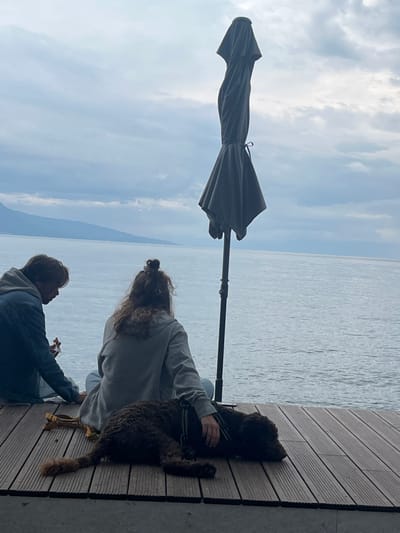 A daytime image depicts a scene on a wooden deck overlooking Lake Geneva in La Tour-de-Peilz, Switzerland. Two individuals and one dog are present, positioned with their backs to the camera, facing the lake. The individual on the left wears a blue jacket and appears to be eating an item held in their hand. The individual on the right wears a grey hooded sweatshirt and light-colored pants, with their right hand resting on the back of a dark brown, shaggy-haired dog lying prone on the deck. A yellow strap or leash is visible on the deck near the left individual. To the right, a large, closed grey patio umbrella stands upright. The calm, grey water of Lake Geneva extends into the distance, with faint mountainous land visible on the far shore under an overcast sky dominated by grey clouds. The setting is consistent with a public promenade or a lakeside dining area directly at the water's edge in La Tour-de-Peilz.