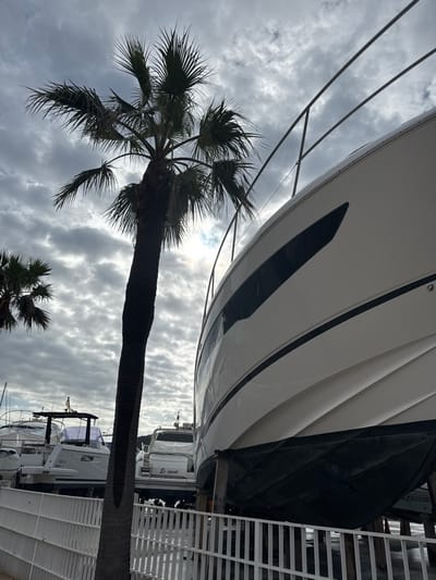 The image depicts a boatyard or hardstand area within Port D'andratx, Spain, under an overcast sky with scattered clouds. The scene is dominated by several large motor yachts stored on land.
In the foreground, a white metal fence extends horizontally across the bottom of the frame. Immediately behind this fence and centrally positioned is the silhouette of a tall palm tree with broad, spiky fronds. To the right of the palm tree, occupying the majority of the right side of the image, is a large, white motor yacht. This yacht, viewed from its bow-starboard side, features sleek black window lines and black trim along its hull. Its lower hull is covered with a black protective material. The yacht is elevated on several wooden support stands.
Further in the background, to the left of the prominent yacht and partially obscured by the palm tree, additional motor yachts are visible, also stored on land. One of these boats, positioned further back, has the text "Es igual" visible on its transom. No people or active interactions are discernible within the frame. The environment suggests a commercial or private marina facility for boat storage and maintenance.