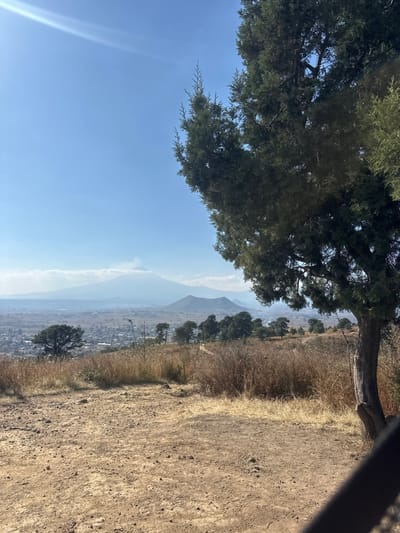 A landscape view from an elevated position features a sprawling city enveloped in a light haze, framed by a distant, hazy mountain range. A dry, earthy foreground meets a vibrant green tree, providing a contrast in textures and colors. Clear, blue skies dominate the upper half of the image. A well-trodden dirt path runs along the edge, adding a sense of depth and leading the eye towards the cityscape below.