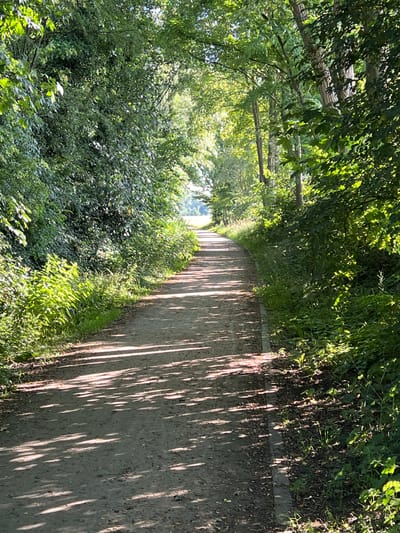 A sun-dappled dirt path curves through a lush, green forest. Tall trees with dense foliage line both sides of the path, creating a canopy that filters the sunlight, casting dappled shadows across the ground. The path is relatively wide and appears to be a walking or cycling trail. The vegetation is vibrant and healthy, with various shades of green. In the distance, the path opens up to a brighter, possibly sunlit area, suggesting a clearing or the edge of the forest. The scene evokes a peaceful and natural ambiance, characteristic of a park or a nature reserve. While the image itself does not explicitly state the location in Zichem, Belgium, such a scene would be consistent with the natural beauty found in the region. There are no people or animals visible in the frame.