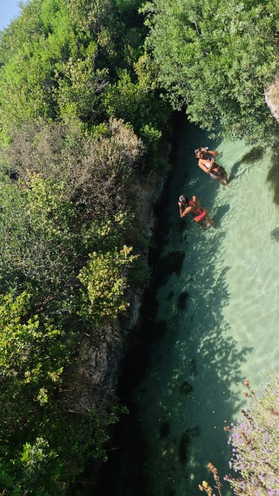 An aerial perspective captures two individuals swimming in the shallow, clear, emerald-green waters of a natural pool surrounded by lush, dense vegetation. The pool is situated within a rocky cove, with the water appearing to be exceptionally transparent, allowing visibility of the sandy bottom and scattered submerged rocks. To the left of the frame, a steep embankment covered in vibrant green foliage rises, creating a dramatic contrast with the tranquil water. On the right, a cluster of delicate purple wildflowers adds a touch of color to the scene.
The individual in the foreground, wearing a red swimsuit, is facing away from the camera, submerged to their waist in the water. They are captured in the action of reaching forward, possibly adjusting snorkeling gear or interacting with the water. Behind them, slightly further from the shore, another person in a white bikini is standing, also facing away. This person appears to be holding a mobile phone or camera, possibly taking a photograph or recording a video of the surroundings or their companion.
The sunlight filters through the overhead canopy of trees, casting dappled shadows across the water's surface, creating an interplay of light and shade. The environment suggests a secluded, natural swimming spot, likely within the coastal areas of Porto Cesareo, Italy, known for its beautiful beaches and clear waters. The scene evokes a sense of peaceful recreation and enjoyment of nature.