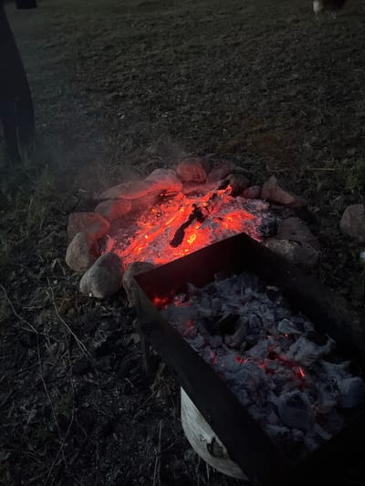 The image presents an outdoor night scene in Міхалішкаўскі сельскі Савет, Belarus. In the mid-ground, a campfire is burning, delineated by a perimeter of rounded, light-colored stones. The fire consists predominantly of intensely glowing red and orange embers and ash, with minimal visible flames and a faint wisp of smoke rising from the center. To the lower right, a dark, rectangular metal brazier or grill is filled with grey, ash-covered charcoal embers that display intermittent points of red and orange glow. The ground surrounding both heat sources is dark, covered with sparse grass, dried leaves, and scattered debris. On the far left, a dark, vertical, indistinct object occupies the edge of the frame. In the distant upper-right background, two light-colored, amorphous shapes are faintly visible against the dark ground, suggestive of small animals.