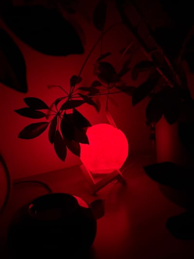 A vibrant red glow emanates from a spherical lamp, illuminating surrounding plants and partially obscuring details in the low-light environment. Dark foliage silhouettes frame the light source, creating a stark contrast against the crimson hue. Some objects are faintly visible, suggesting a room with scattered items. Overall, the image conveys a sense of moody ambiance dominated by the color red.