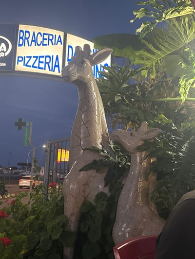 In Ardea, Italy, a nighttime scene features two prominent giraffe statues in the foreground, made of speckled stone and partially obscured by lush green foliage and red flowers. Behind the statues, a lit sign reads "BRACERIA PIZZERIA" in blue lettering against a dark background, with additional partially visible text to its right. To the left of the sign, a black and green cross emblem is visible, with "FARMACIA" written vertically on a green banner attached to a pole. In the background, a white vehicle is parked on the street, and further in the distance, buildings and trees are silhouetted against the twilight sky.