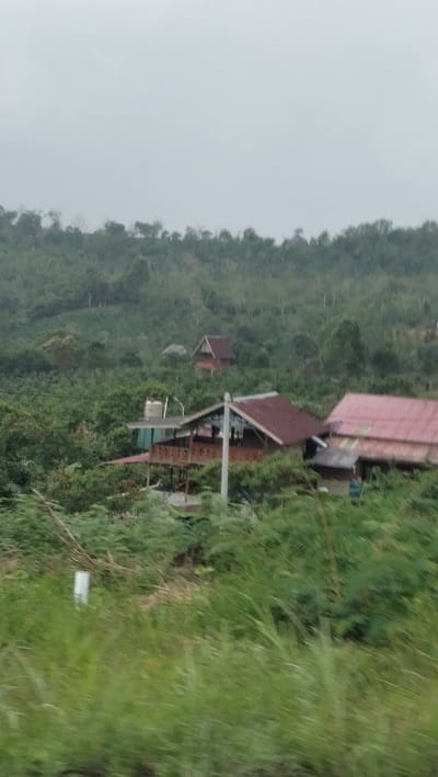 The image depicts a blurry, overcast scene with a few structures nestled within a dense, green, hilly landscape. In the foreground, tall, green grasses are visible, with a white marker post on the left side. Further back, several buildings with reddish-brown roofs are scattered amongst lush vegetation. One prominent structure, possibly a house or shelter with an open, elevated porch, is situated in the middle ground. Another, smaller building with a steeply pitched roof is visible further up the hill. The background consists of a densely forested hillside that fades into a light grey, hazy sky, suggesting a remote or rural location. The overall impression is one of a tranquil, somewhat isolated setting.