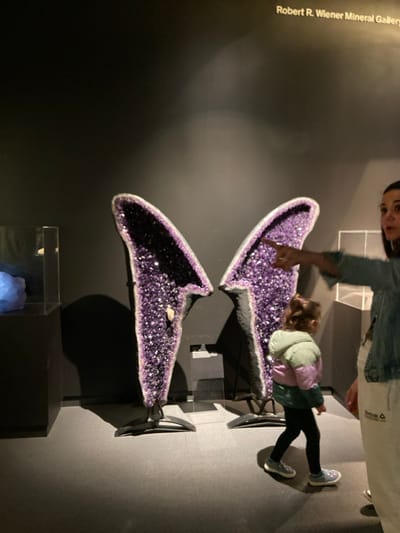 Two large amethyst geodes, shaped like wings, are on display in a museum. The geodes are mounted on black metal stands. A woman in a blue denim jacket points towards the amethyst geodes. A young girl in a green, purple, and white jacket stands near the geodes, looking at them. The scene is lit by overhead lights, casting a warm, yellow glow. The room is otherwise dark and the walls are painted grey. The sign above the geodes reads "Robert R. Wiener Mineral Gallery." The coordinates provided place this scene in the American Museum of Natural History in New York City, which houses the Robert R. Wiener Mineral Gallery.