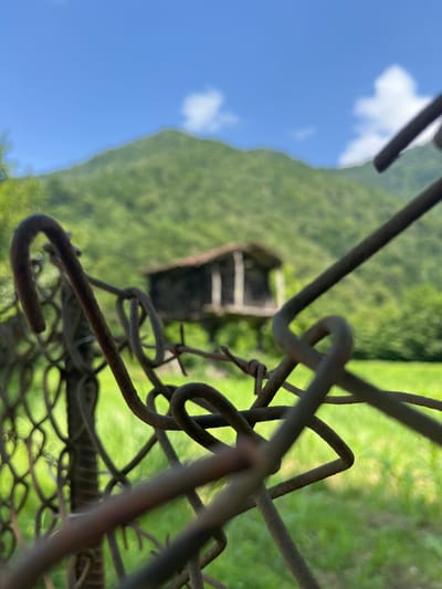 The image depicts a rustic scene in Mirveti, Georgia. In the foreground, rusty barbed wire and chain-link fencing are prominently displayed, creating a sense of obstruction and aged decay. Beyond the fencing, a dilapidated wooden structure, possibly a house or shed, stands abandoned amongst lush green foliage. The background features a verdant, tree-covered mountain under a clear blue sky with scattered white clouds. The overall atmosphere is one of rural isolation and abandonment.