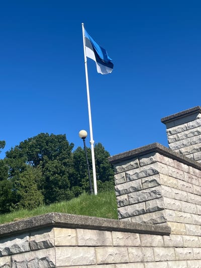 An Estonian flag flies on a white flagpole against a clear blue sky. The flag is composed of three horizontal bands of equal width: the top band is blue, the middle band is black, and the bottom band is white. The flag is positioned on the right side of the image, with its tail end curving to the left.
In the foreground, a light-colored stone wall with rough-hewn blocks forms a raised platform. The wall has a weathered appearance with grey capping stones along its top edges. Behind the wall, a patch of green grass slopes upwards.
To the left of the flagpole, a black lamppost with a round, cream-colored light fixture is visible, positioned on the grassy slope. Behind the lamppost and the grassy area, a dense canopy of green trees forms a backdrop.
The image appears to have been taken on a bright, sunny day. The overall setting suggests an outdoor public space, possibly a park or memorial in Toila, Estonia, given the presence of the Estonian flag. There are no people visible in the image.