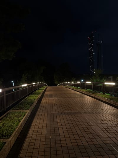 The image depicts a nighttime scene in Chiba, Japan. The primary subject is a paved walkway or path illuminated by a series of vertical lights. The walkway appears to be elevated or bordered by a retaining wall on one side, covered in a brown tiled mosaic. On the other side, there is a metal railing with lush green foliage planted behind it. The path curves gently into the distance, creating a sense of depth and leading the viewer's eye.

In the background, on the left side of the frame, a tall, modern building is visible against the dark night sky. The building has numerous illuminated windows, suggesting it is occupied or actively lit. Trees are also present, silhouetted against the darkness, framing the path and the building. The time of day is clearly night, indicated by the deep darkness of the sky and the artificial lighting. The weather appears to be clear, as there are no visible signs of rain or fog.

The overall mood of the image is tranquil and somewhat solitary, evoking a sense of peacefulness in an urban or semi-urban environment after dark. There is no visible text in the image. The scene suggests a public space, possibly a park, a pedestrian bridge, or a pathway within a residential or commercial complex. The angle of the shot is from a low perspective, looking along the path and slightly upwards towards the building and the sky.