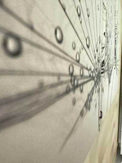 This media file is a photograph of a canvas or art piece with a printed design featuring what appear to be water droplets and radiating lines, resembling a dandelion seed head or a sunburst pattern. The art is laid out on a light-colored surface, possibly a floor or table, and is viewed from a low angle, creating a sense of depth and perspective. Shadows from the art and potentially other objects are cast across the surface, adding to the visual interest. The lighting suggests an indoor setting, possibly a gallery or a home environment. The style of the artwork is abstract and graphic, with a monochrome palette. There is no visible text in the image. The scene is static and does not depict any specific event or activity. The focus is on the visual texture and pattern of the artwork and its interaction with light and shadow. The overall impression is one of artistic presentation or display.