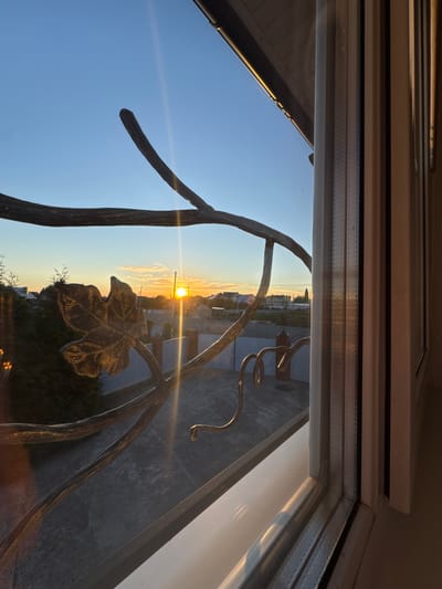 The image shows a view through a window with a decorative wrought iron grate in the foreground. The grate features a stylized leaf and vine motif. Outside, the scene depicts a rural or suburban landscape at sunset. The sun is low on the horizon, casting a warm glow and creating lens flare. In the distance, there are houses, fences, and trees. The sky is clear and blue, transitioning to orange and yellow near the sunset. The environment appears to be in Chesnokovka, Russia, given the context. The image is a still photograph taken during daylight.